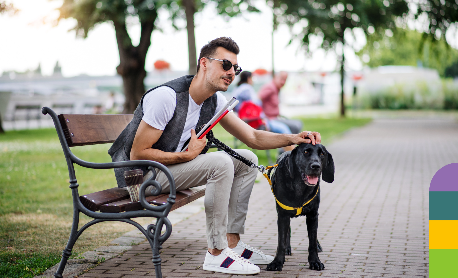 The Amazing Benefits of Guide Dogs for the Blind