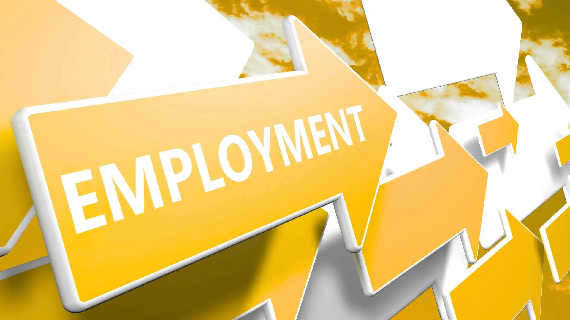 How To Access NDIS Employment Supports